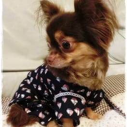 roncoさんの作品