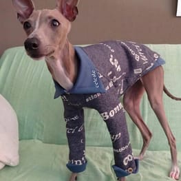 ちょここさんの作品