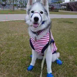 ななさんの作品