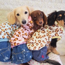 mamehanasoraさんの作品