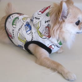 テンミーさんの作品