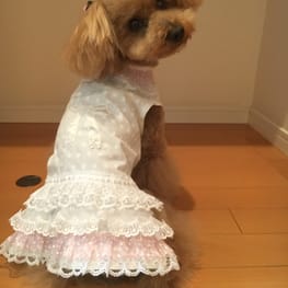 らくすさんの作品