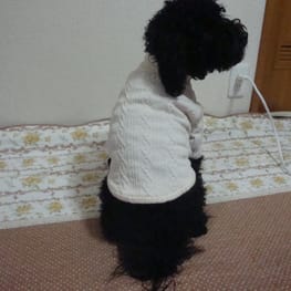 かさたんさんの作品