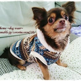 roncoさんの作品