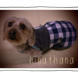 ひなはなさんの作品