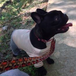 boom3tanさんの作品