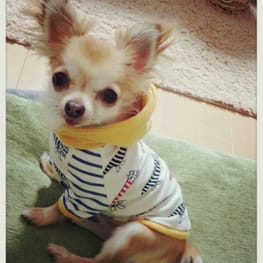 キャサリンさんの作品