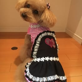 らくすさんの作品