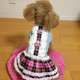 らくすさんの作品