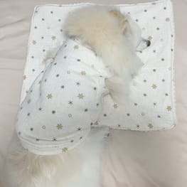 WKSchatzさんの作品