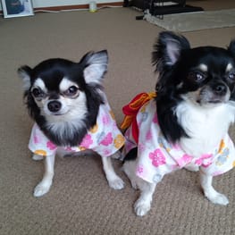 すずらんさんの作品