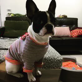 angelin40さんの作品