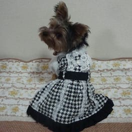 かさたんさんの作品