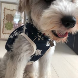 ayarikiさんの作品