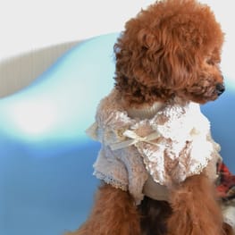 ひらまりさんの作品