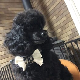 bettyさんの作品