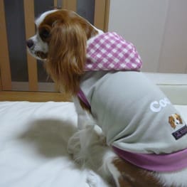 しまゆさんの作品