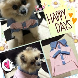 シーナさんの作品