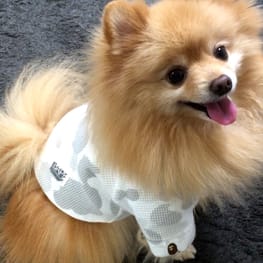 彪ママさんの作品