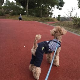 ミーナさんの作品