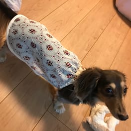 みにくろりんさんの作品