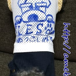 レンかのさんの作品