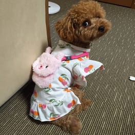 モナリオさんの作品