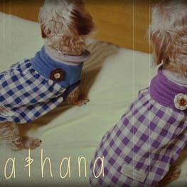 ひなはなさんの作品