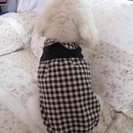 あかずきんさんの作品