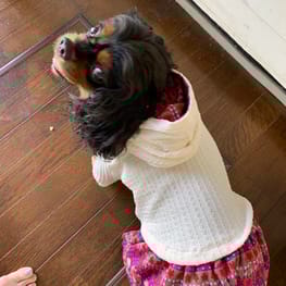 あっちゃんさんの作品