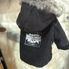 バッシーさんの作品