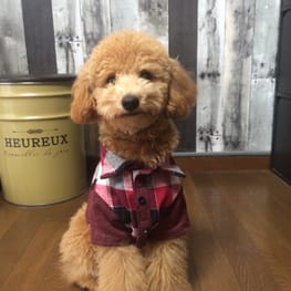 masunさんの作品