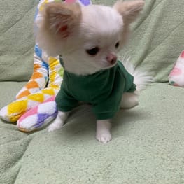 ぼすみんさんの作品