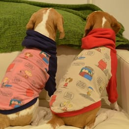 locomiさんの作品