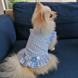 にこママさんの作品