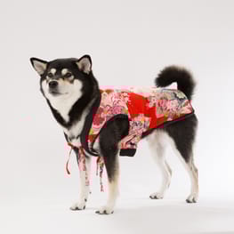 徹子さんの作品