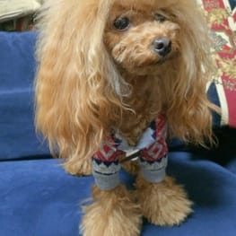 puiloveさんの作品