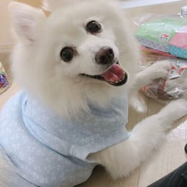 WKSchatzさんの作品