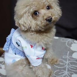 asukamamaさんの作品