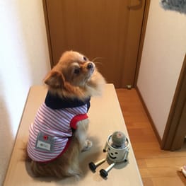 hananonnさんの作品