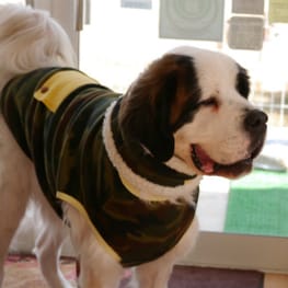 ちみこママさんの作品