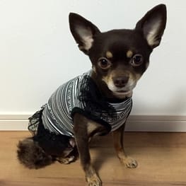 ゆずさんの作品