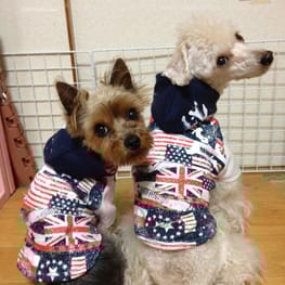 LabiOliママさんの作品