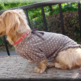 COCOままさんの作品