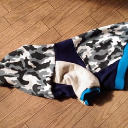 しゃんちゃん♪さんの作品