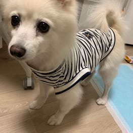 WKSchatzさんの作品