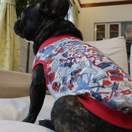 ちびっこさんの作品