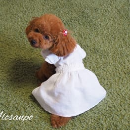 アロモアママさんの作品