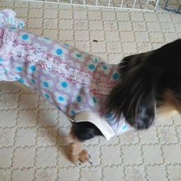 モコさんの作品