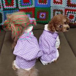 fragmentさんの作品